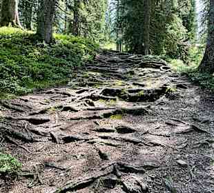 Wandern Saalbach-Hinterglemm