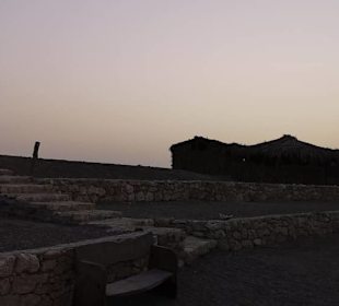 BBQ Dinner - Nighttour powerd by  E-Motion