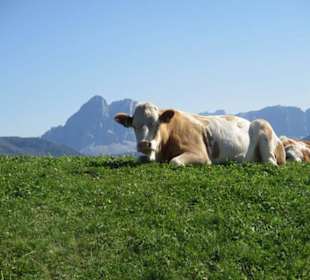 Bergidylle in den Dolomiten