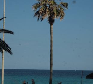 Blick von der Promenade