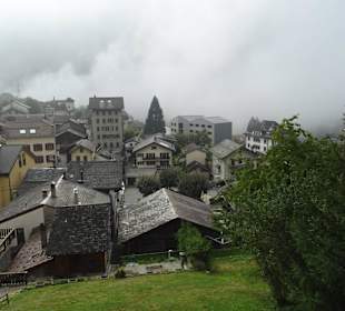 Blick aus dem Zugfenster