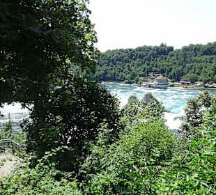 Am Rheinfall