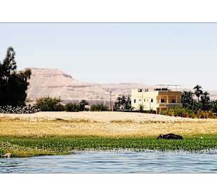 Luxor