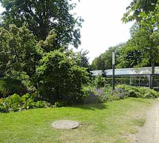 Parkanlage Planten un Blomen