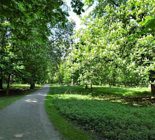 Eindrücke aus dem Tiergarten Hannover
