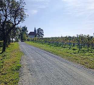 Weg Richtung Theresiienkapelle 