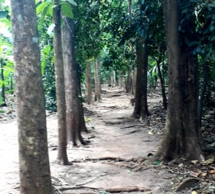 Maganga Spice Farm