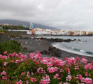 Strand von Puerto dela Cruz