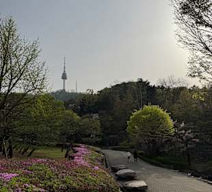 Namsangol Hanok Village