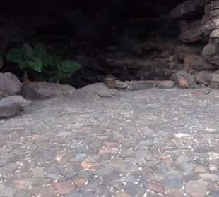 Cueva de los Verdes