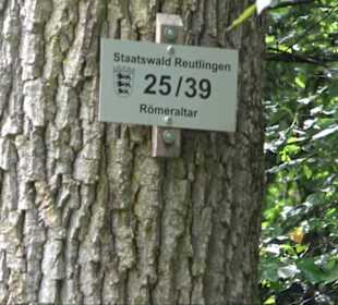 Sonnenaufgangs-Rundwanderung Rübgarten