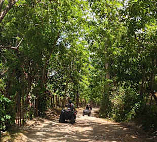 Rueckweg durch die Berge