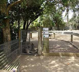 Stadtrundgang Sydney