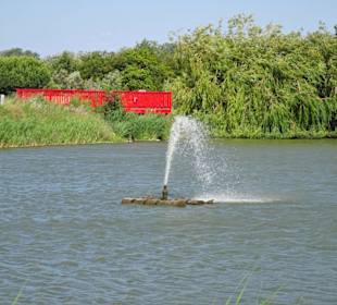 Eindrücke aus dem Parc de la Prade
