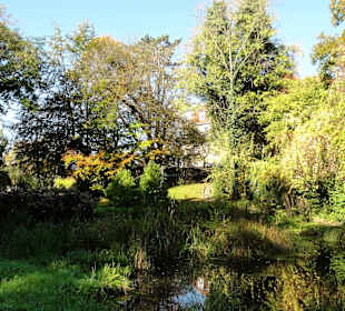 Impressionen vom herbstlichen Freiland