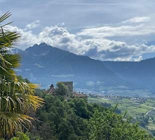 Ausblick auf Schloss Thunstein