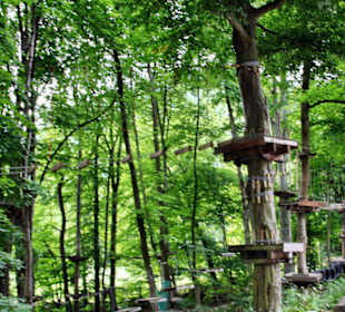 Kletterpark Thale