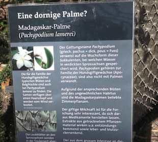 Botanischer Garten der Universität Zürich