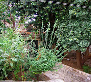Die Altstadt Dubrovnik