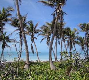 Es war traumhaft schön