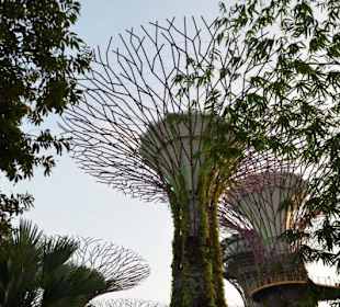 Gardens by the Bay