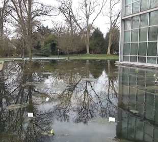 Tropicarium - Feuchte Tropen