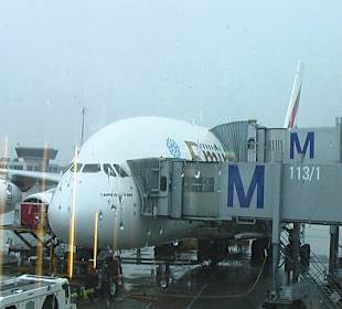 Gate C