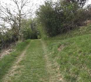 Wanderweg Firstwaldrunde