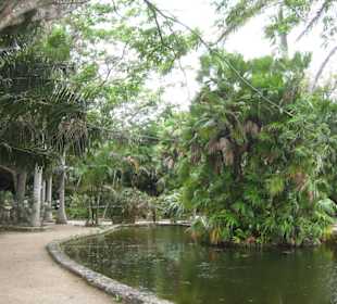 Botanischer Garten mit Ausläufer der Lagune