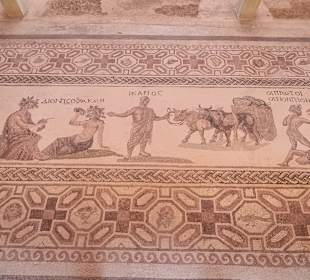 Mosaik Haus des Dionysos