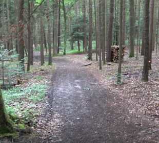 Wanderweg - Alter Steinbruch Pfaffenberg Runde