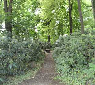 Schlosspark