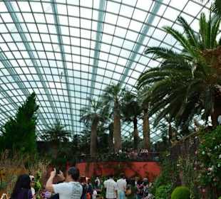Gardens by the Bay