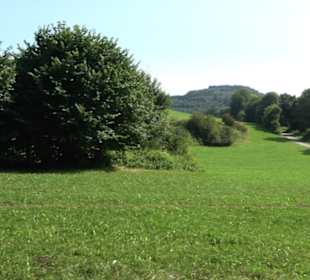Lerchental
