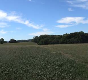 Wandertour Greifensteinrunde