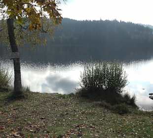 Windgfällweiher