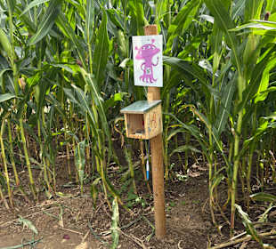 Monster-Maisfeldlabyrinth Alsdorf