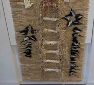 Museum Natur und Mensch