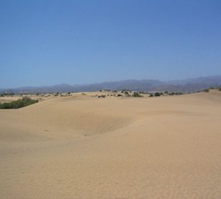 Dünen von Maspalomas