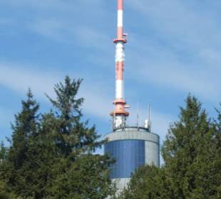 Auf dem Inselsberg im Thüringer Wald
