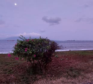 Blick auf Bali