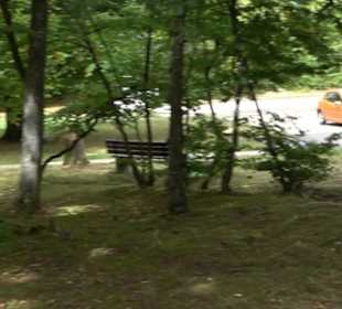 Waldfriedhof