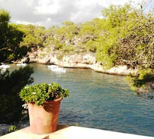 View from the private yard