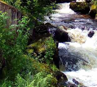Wasserfall in Hornberg
