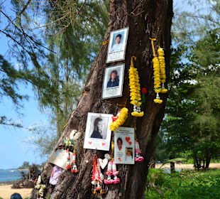 Gedenkstätte Tsunami Memorial Ban
