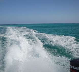 Zurück gehts zum Schiff