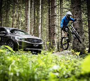 (c) Bikepark Leogang / Artisual