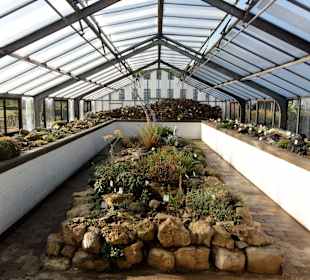 Blick in ein Gewächshaus