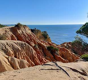 Seven Hanging Valleys Trail 