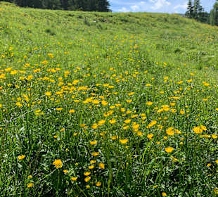 Wandern Kleinarl